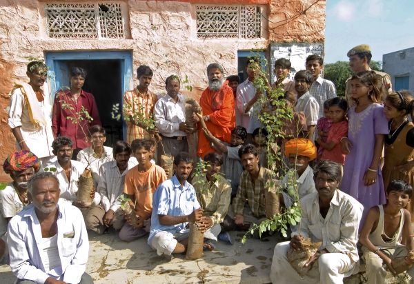 Swami-Maheshwarananda-trees-Jadan