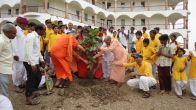 Planting Iccha world peace tree