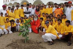 Swamiji's blessing at iccha world peace tree