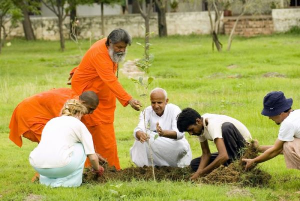 Planting a tree